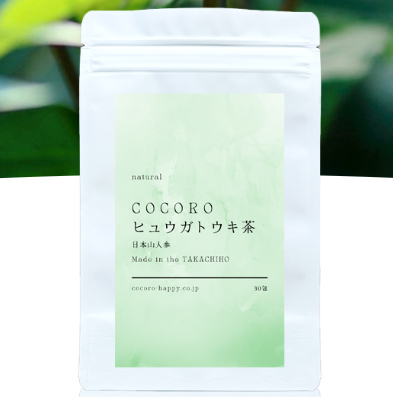 COCOROヒュウガトウキ茶