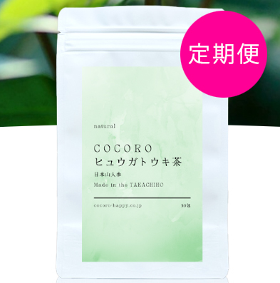 COCOROヒュウガトウキ茶