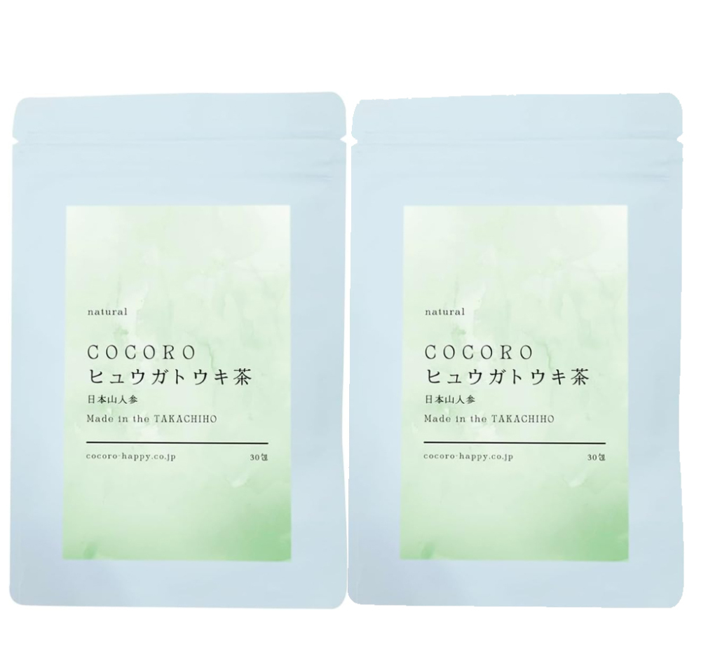 COCOROヒュウガトウキ茶2袋セット