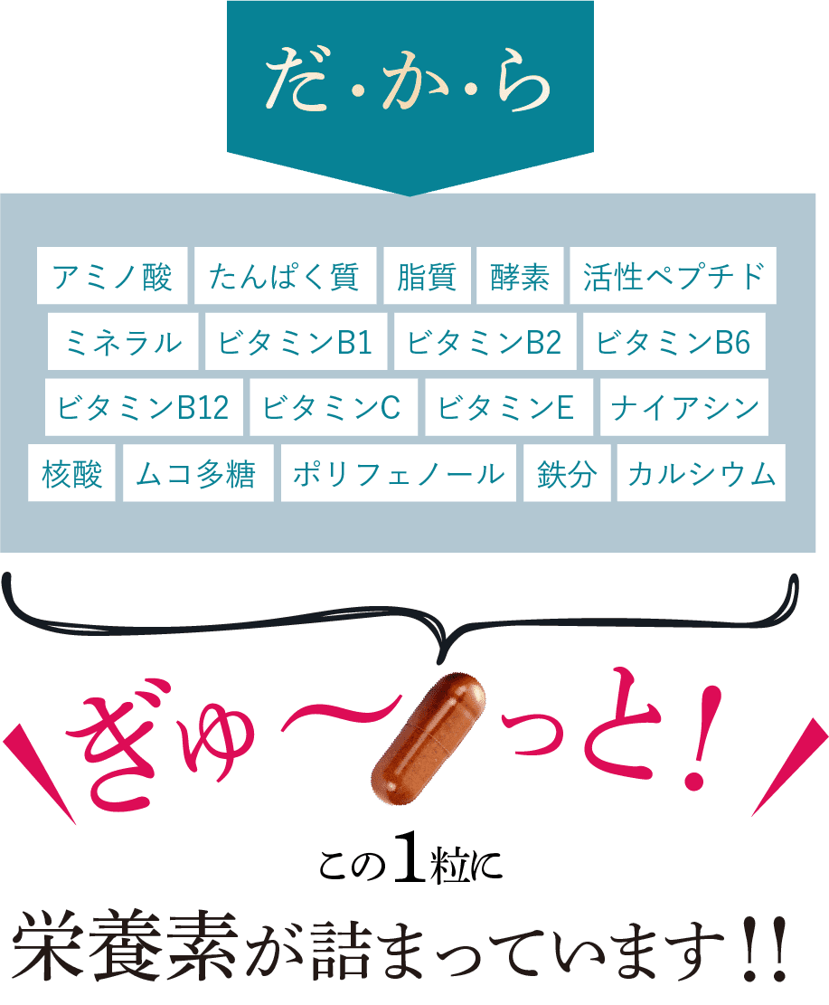 だからぎゅ〜っと詰まっています