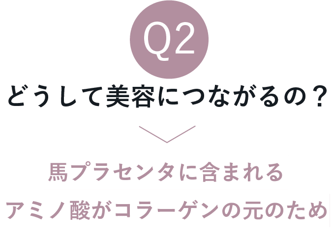 どうして美容につながるの？